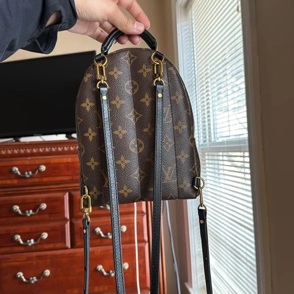 AUTHENTIC Louis Vuitton Palm Springs Mini - Picture 3 of 15